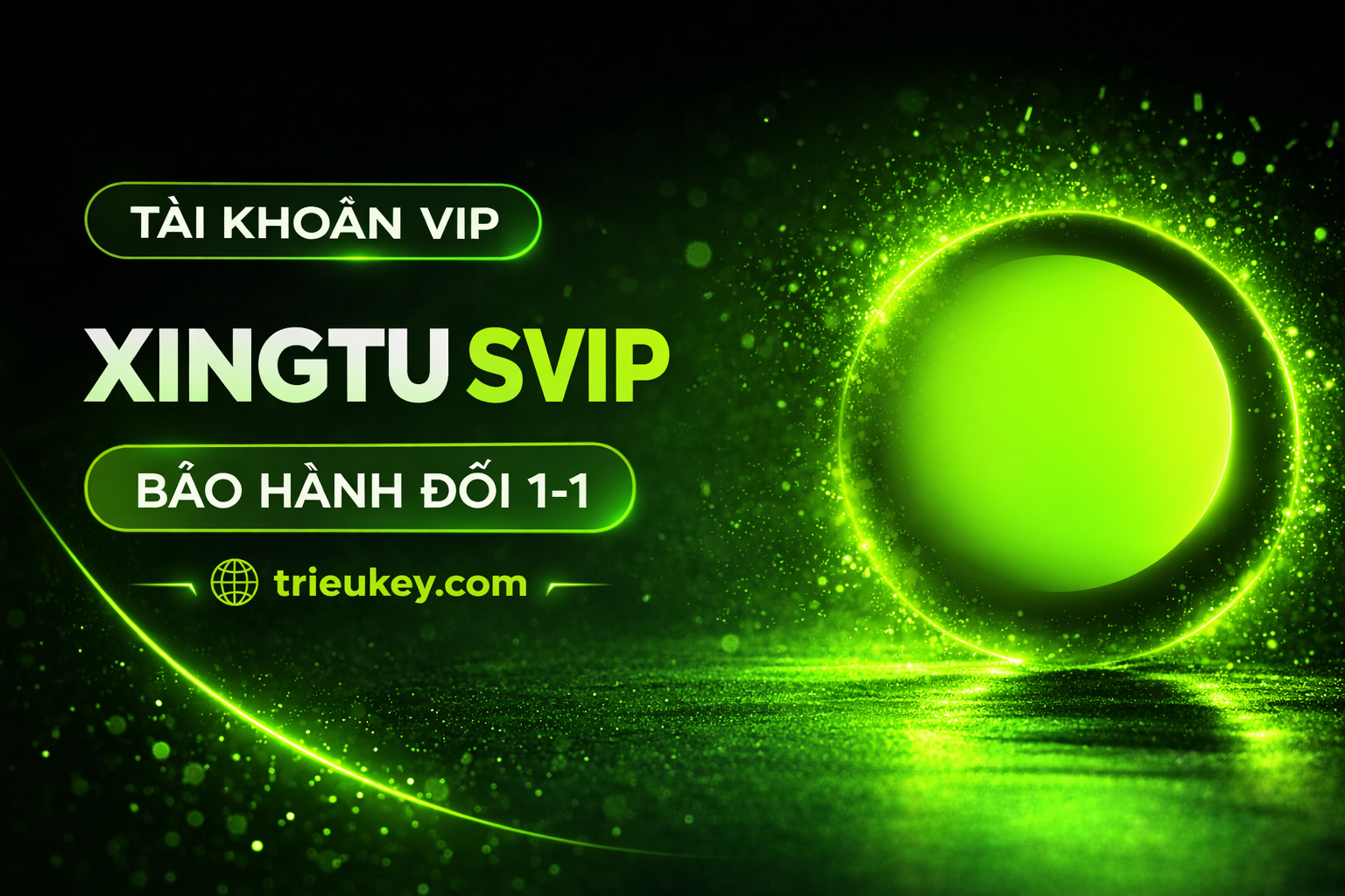 Sản Phẩm XINGTU SVIP