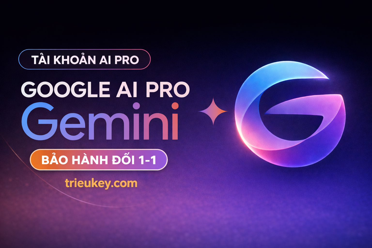 Google AI Pro (Gemini)